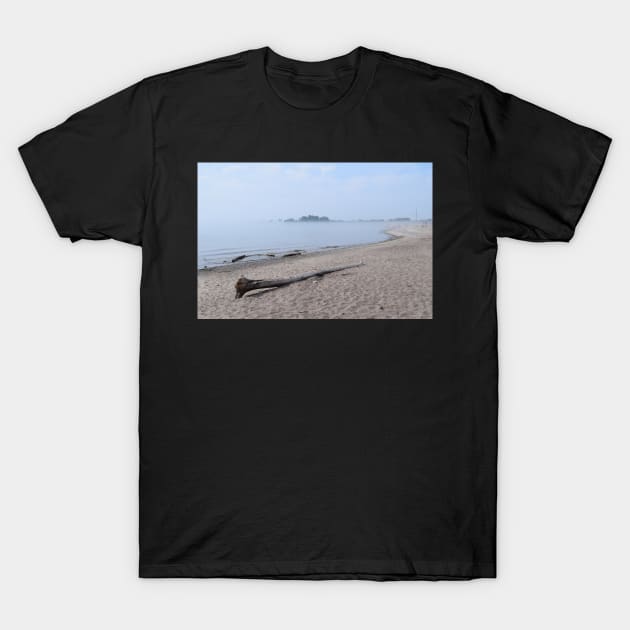 Cottagecore, Beach Front, Driftwood T-Shirt by Tenpmcreations